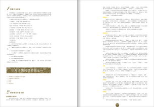 子情貝諾品牌營銷策劃方案